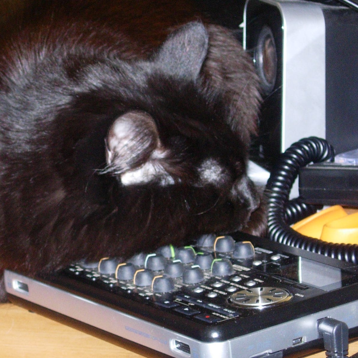 The PODCat is sound asleep using a small portable sound mixer as a pillow. His dainty cheek rests against the rows of rubber-capped dials. He’s not even bothered to share the limited desktop space with a small computer speaker and the long, coiled cable of a pair of headphones.