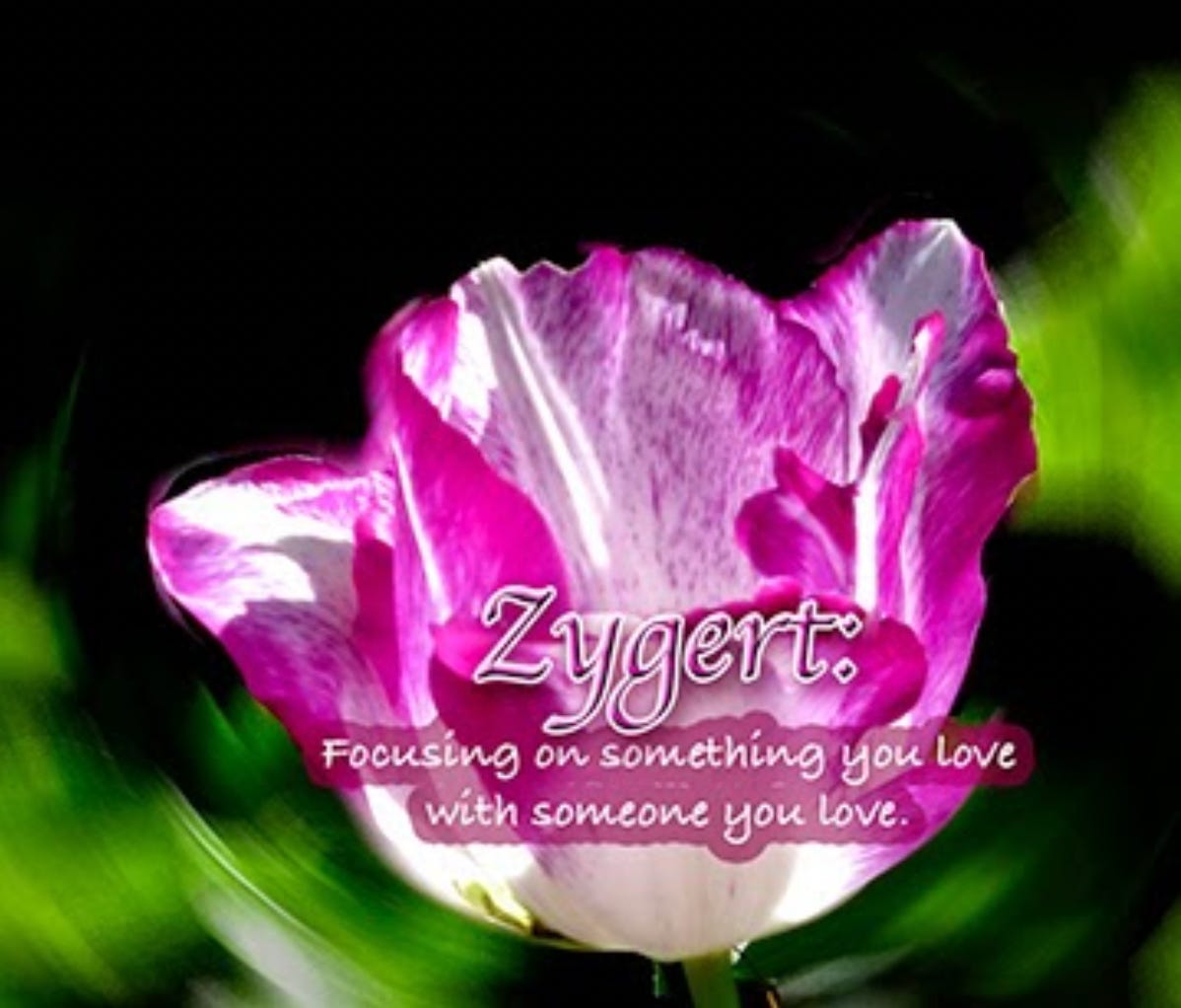 learning Zygert ... focusing on something you love with someone you love.