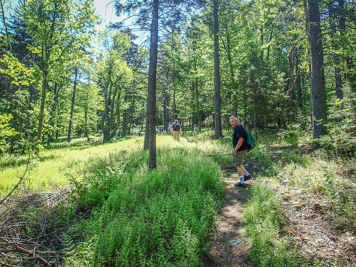 Wapack Trail