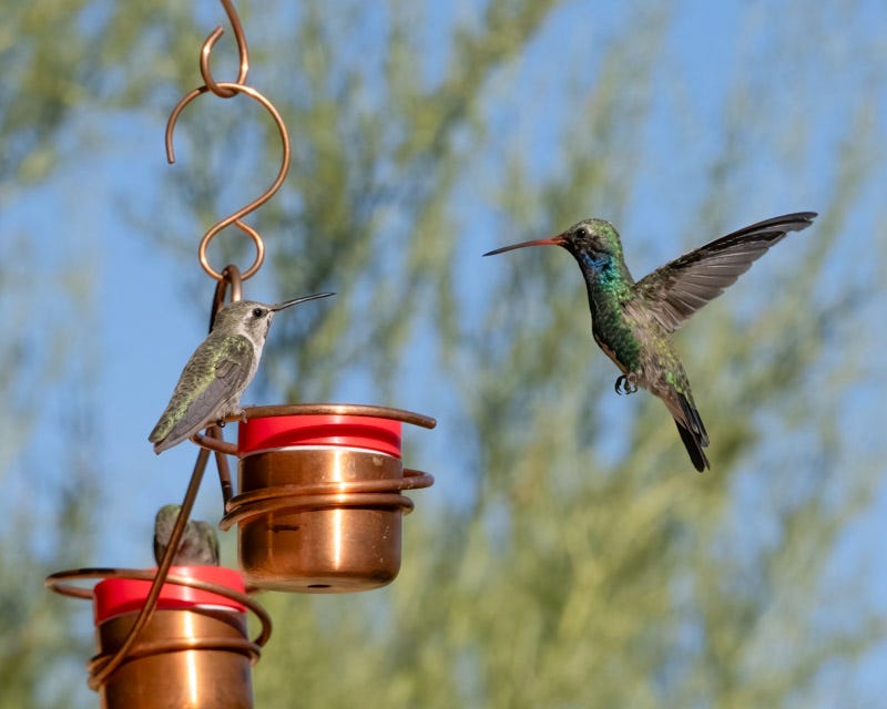 20240911-MBY-289-Edit.jpg