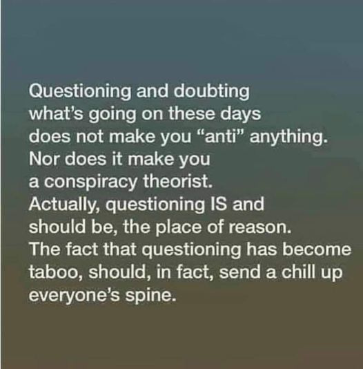May be an image of text that says 'Questioning and doubting what's going on these days does not make you "anti" anything. Nor does it make you a conspiracy theorist. Actually, questioning IS and should be, the place of reason. The fact that questioning has become taboo, should, in fact, send a chill up everyone's spine.'
