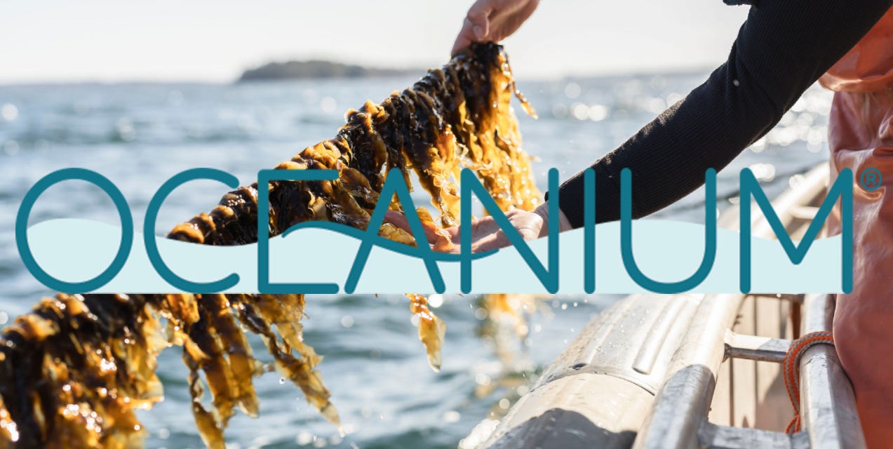 🌊 Scaling seaweed sustainably with OCEANIUM - Paxtier