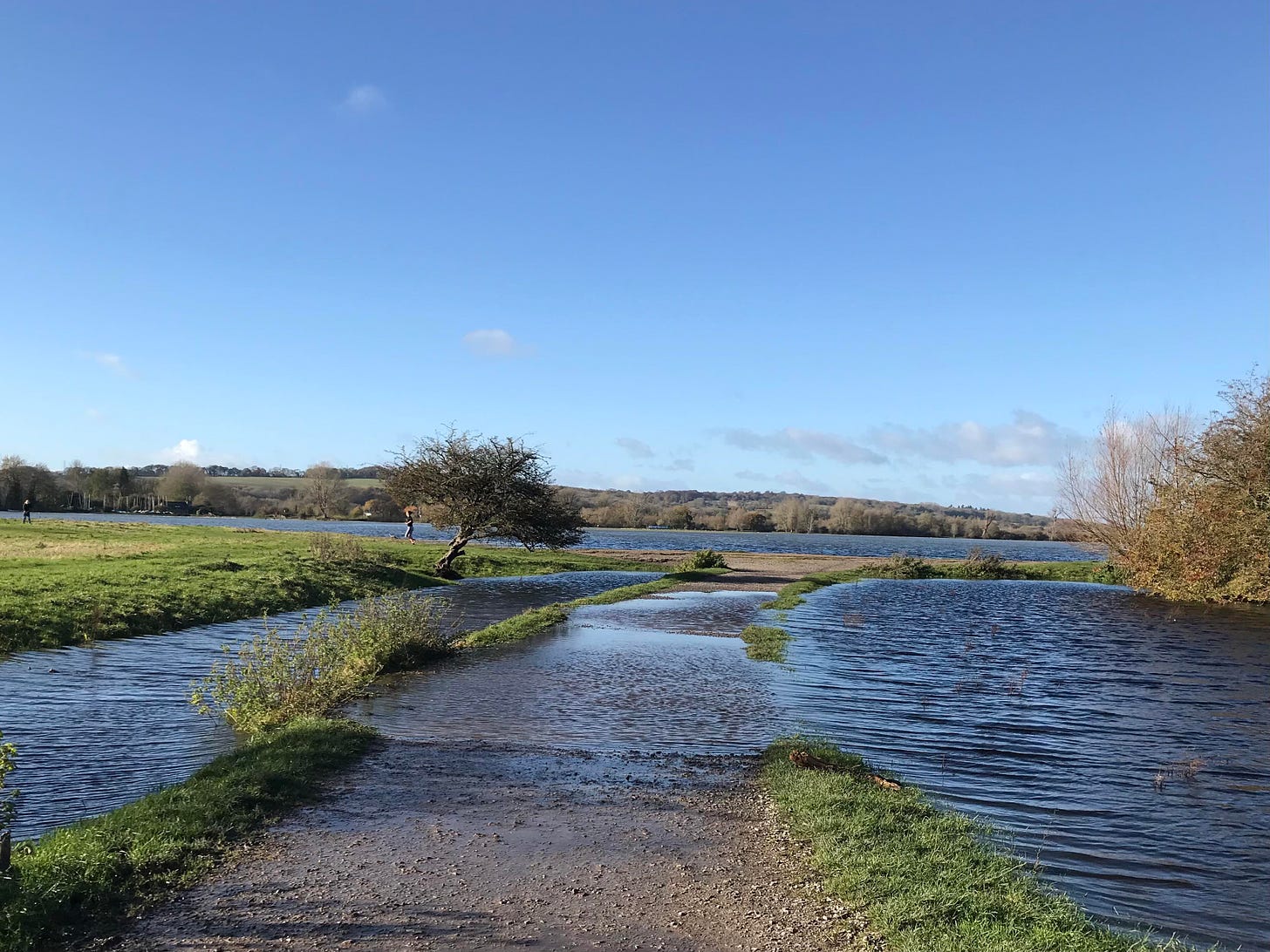 Port Meadow which is a meadow in Oxford, blue skies, the path is flooded by water, and there is flooding either side of a tree and behind it 
