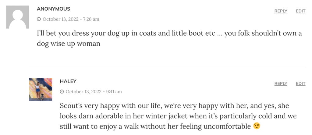 A comment left by an anonymous reader that says "I'll bet you dress your dog up in coats and little boot etc... you folk shouldn't own a dog"