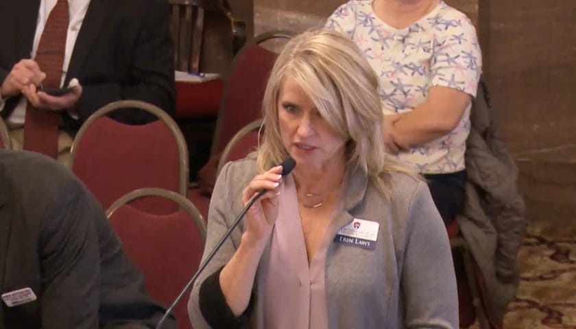 Erin Laws speaking at SB 164 hearing.