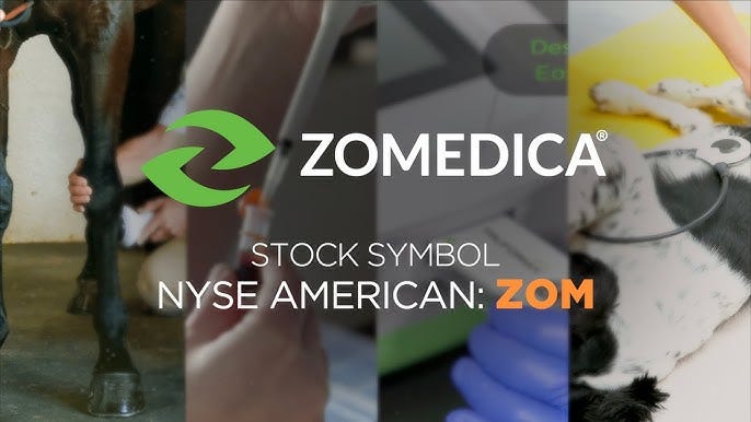 Zomedica: Improving Pet Care & Providing New Business Opportunities for  Vets - YouTube