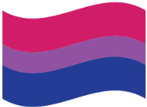 Bi Pride flag with red on top, purple in the middle and blue on the bottom
