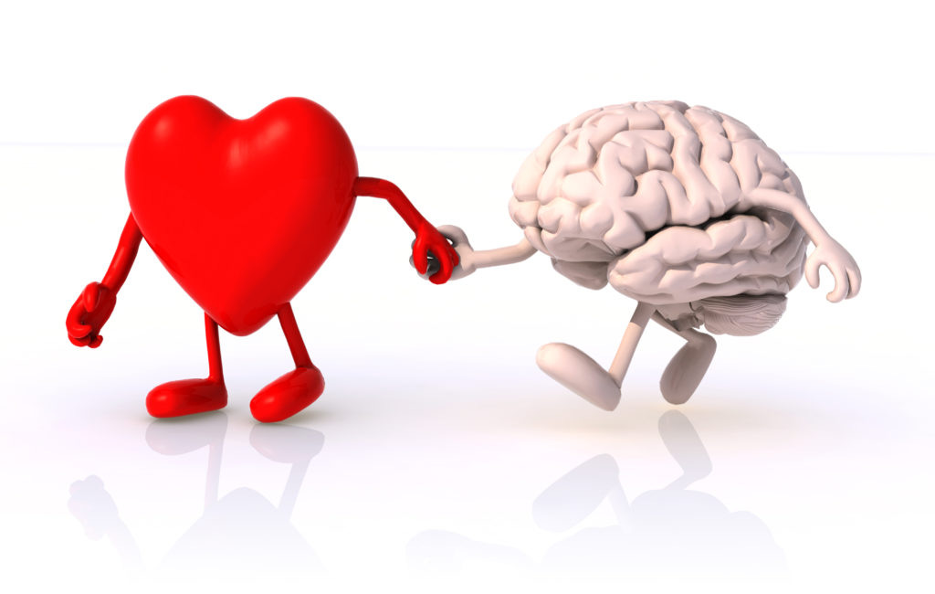 heart brain