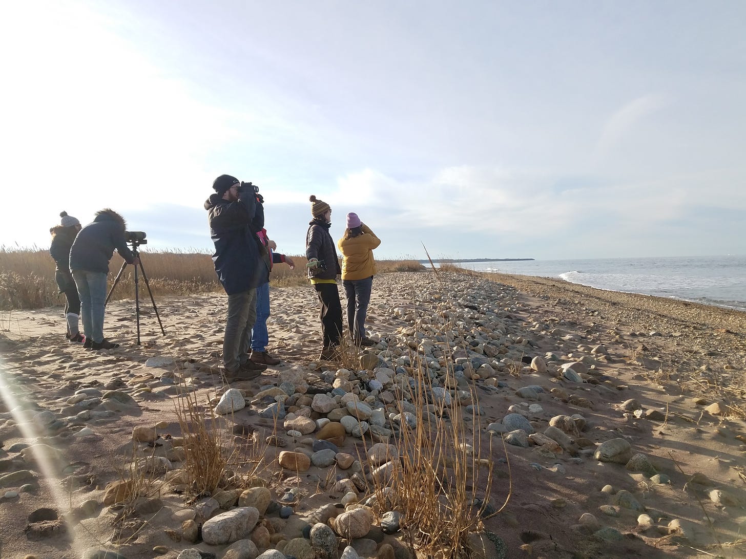 six people in winter cloths looking out at the ocean on a cobblestone beach.