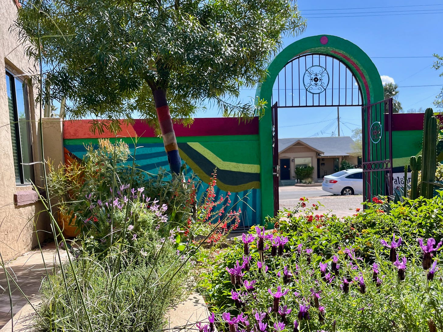 The courtyard at Nurture House in Phoenix in bloom: purple and red flowers, greenery, and cactus. The painted archway in the background.