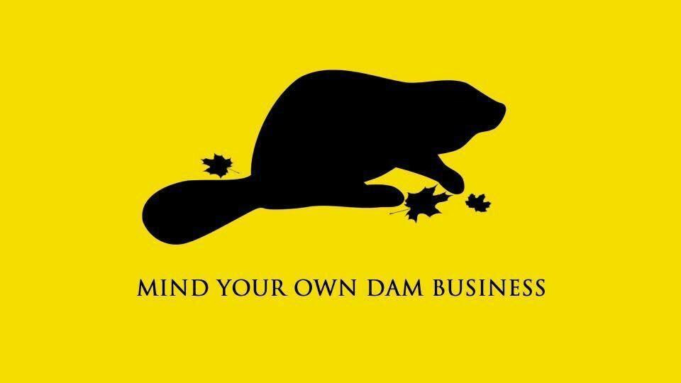 A Canadian take on the Gadsden Flag : r/vexillology