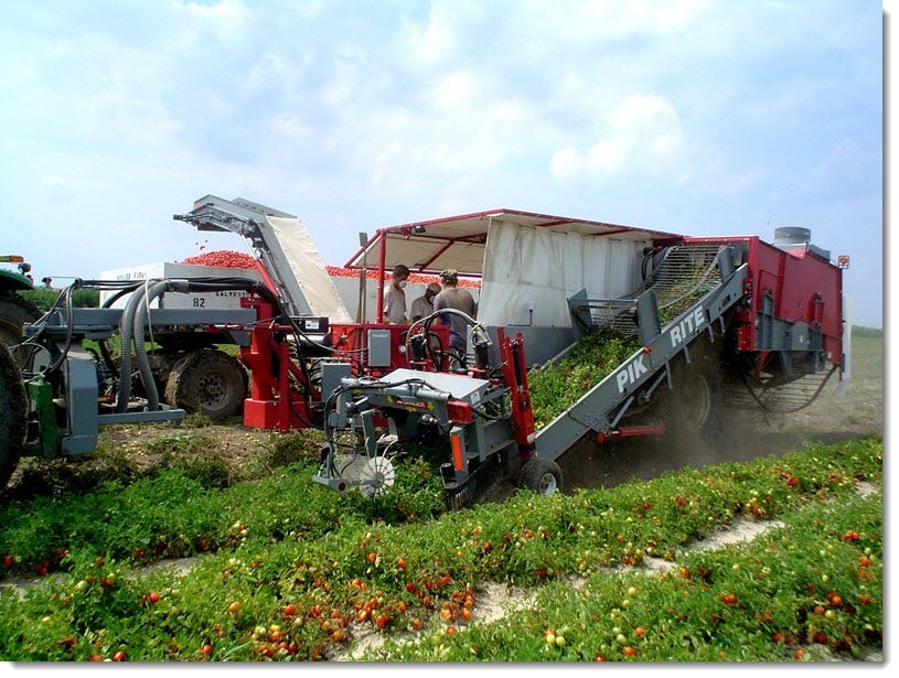 Pik Rite 190 Tomato Harvester