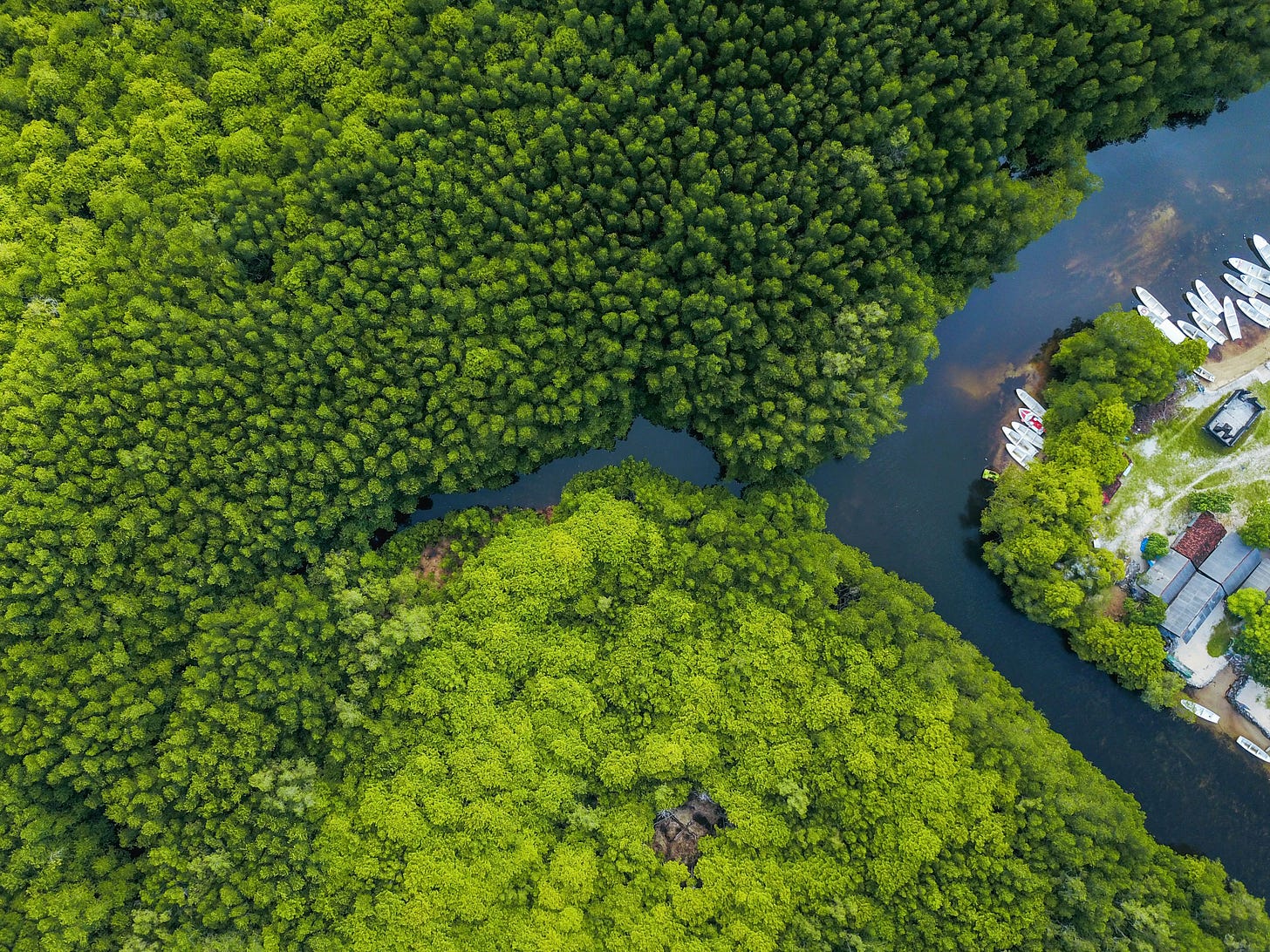 image of forest, river, and recreation facilities with small boats