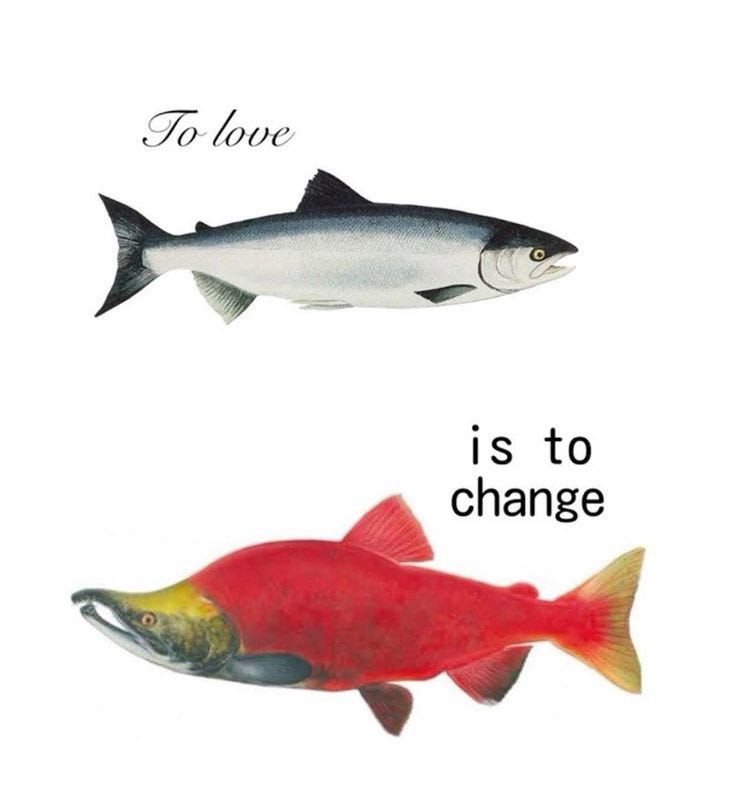 This may contain: two fish that are next to each other with the words to love and is to change