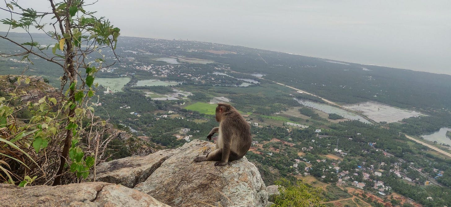 41 days of hiking Marunthuvazh Malai 🙏