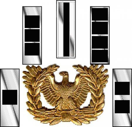 Golden eagle warrant officer emblem