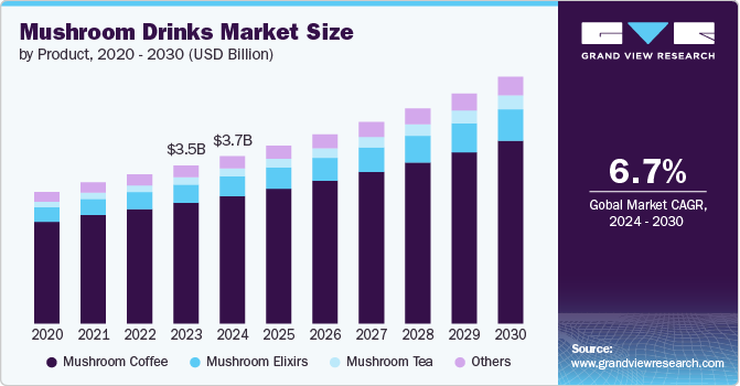 Mushroom Drinks Market Size by Product, 2020 - 2030 (USD Billion)