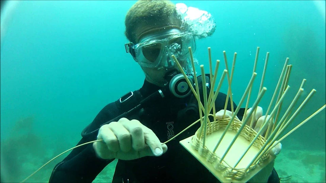 Underwater basket weaving - All Basket weaving