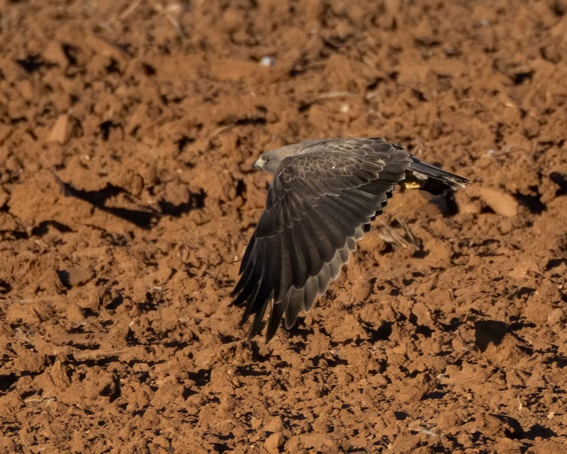 20240415-TheFarm-163-Edit.jpg