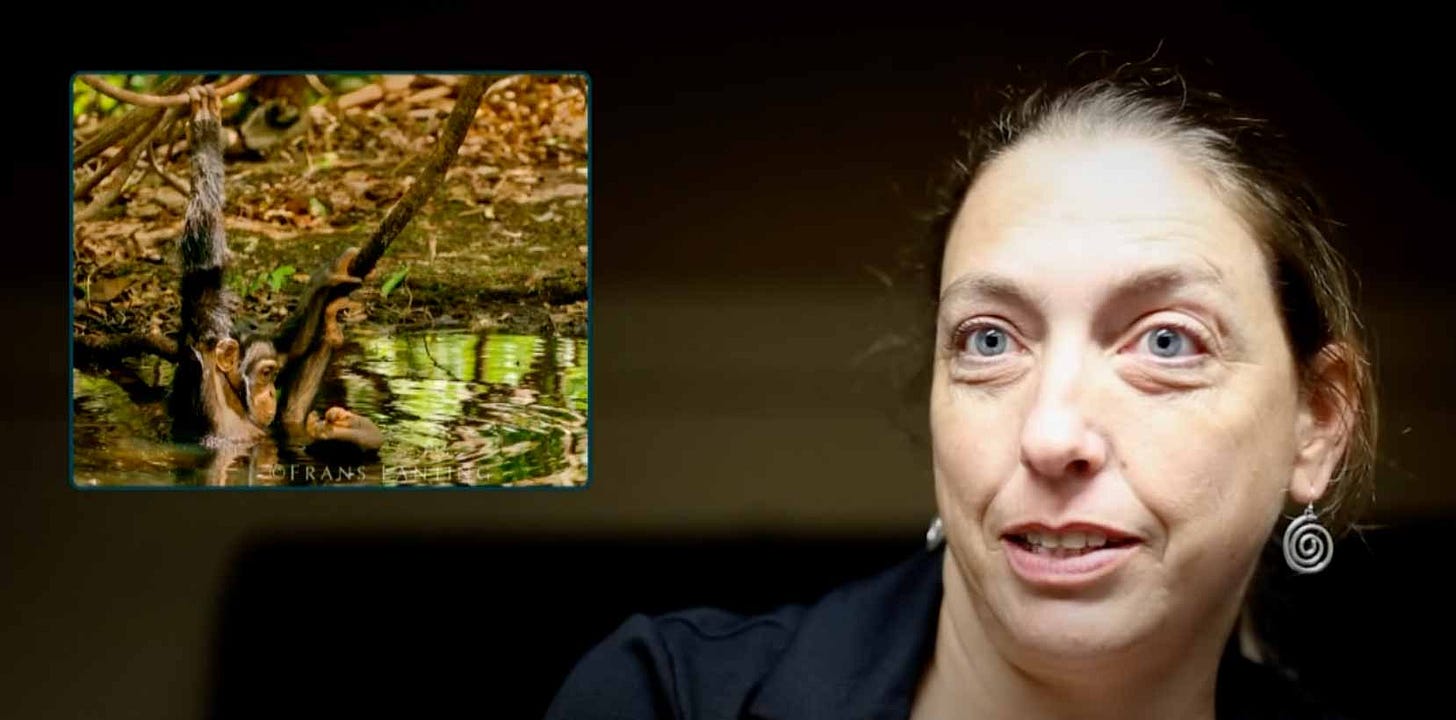 Jill Pruetz with dark background and photo of chimpanzee in pool of water
