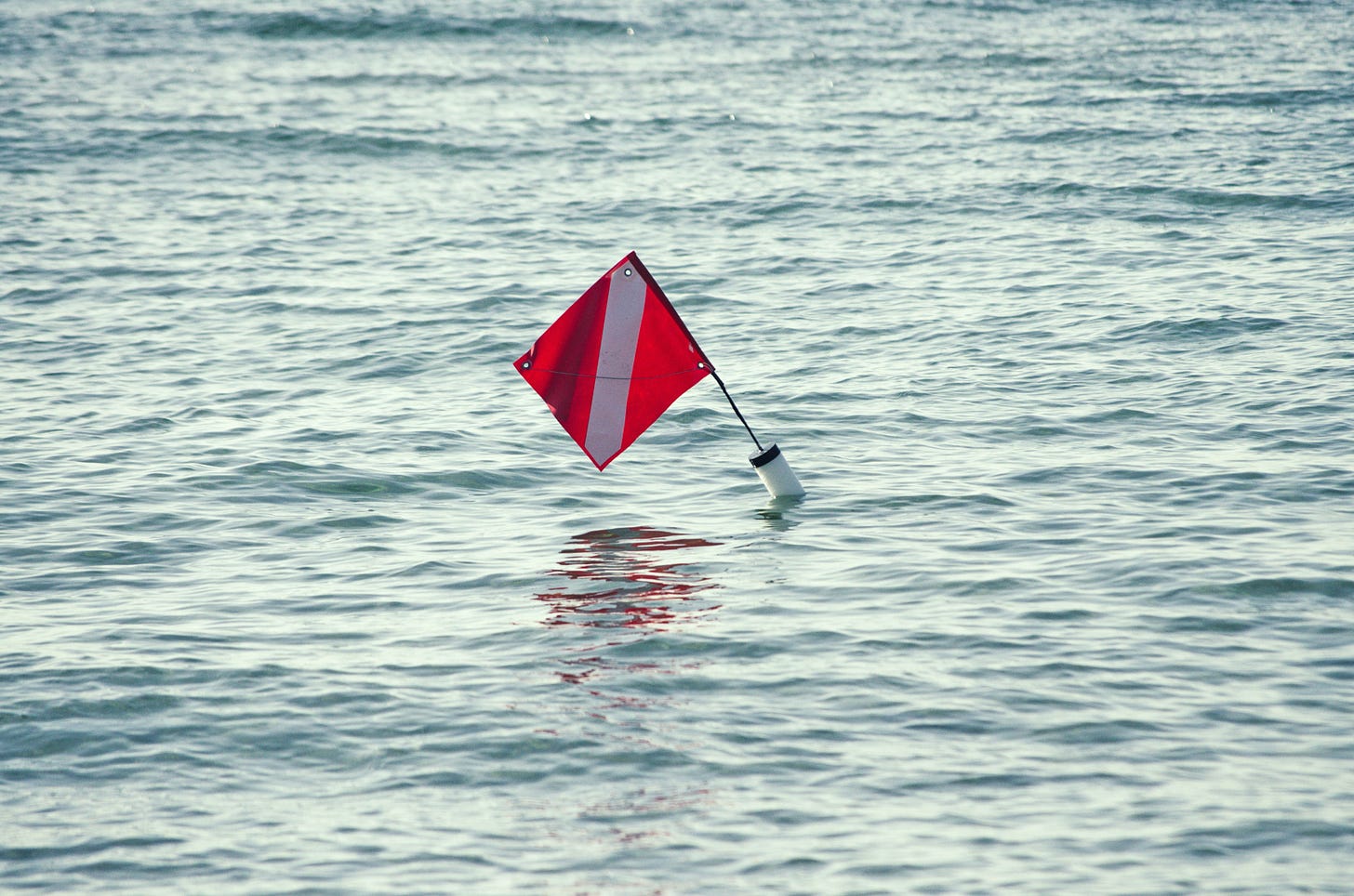 Warning flags over your organization