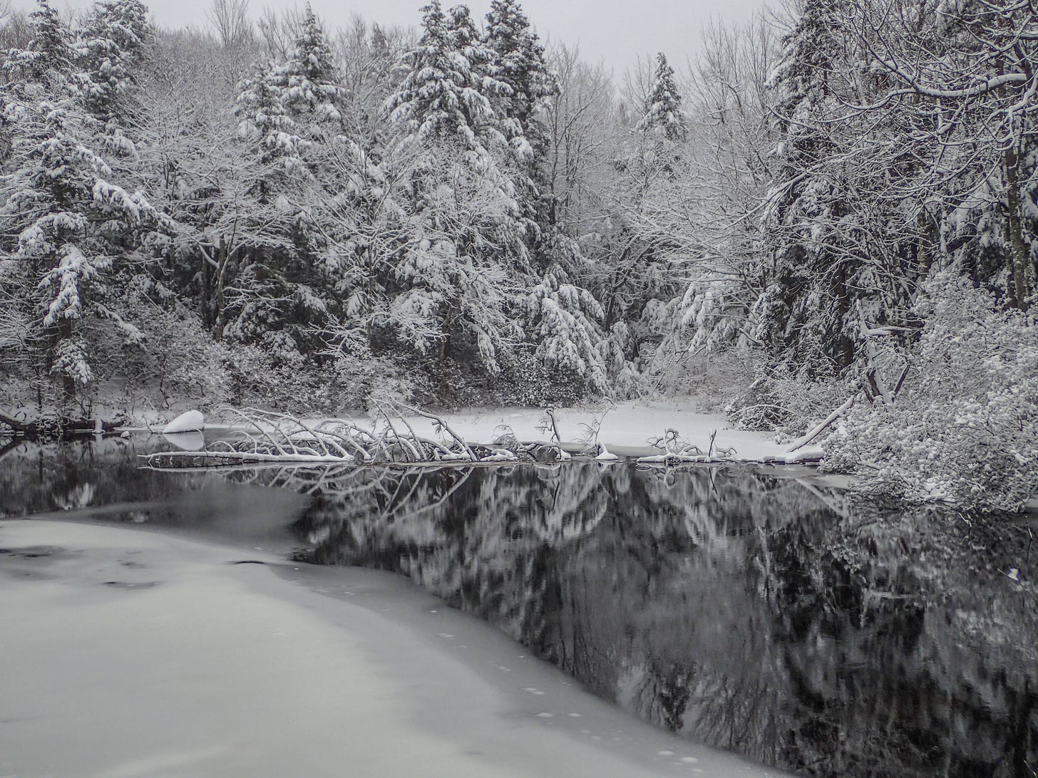 River and snow covered trees