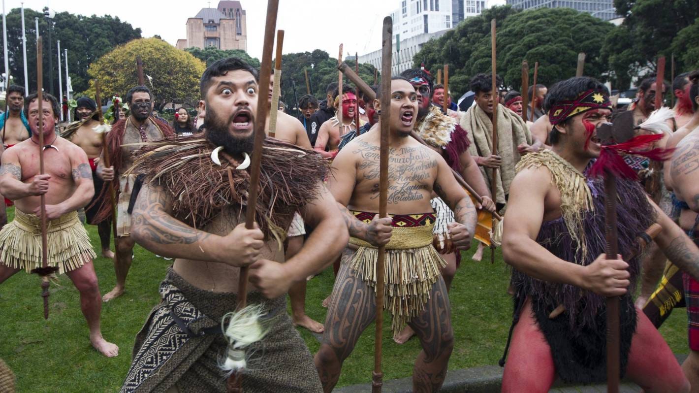 Hundreds of protesters show their support outside Parliament in ...