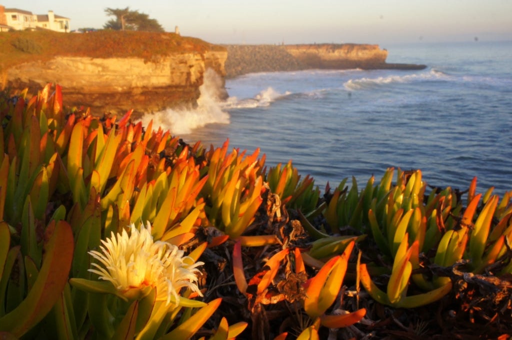 Sunset on the cliffs.