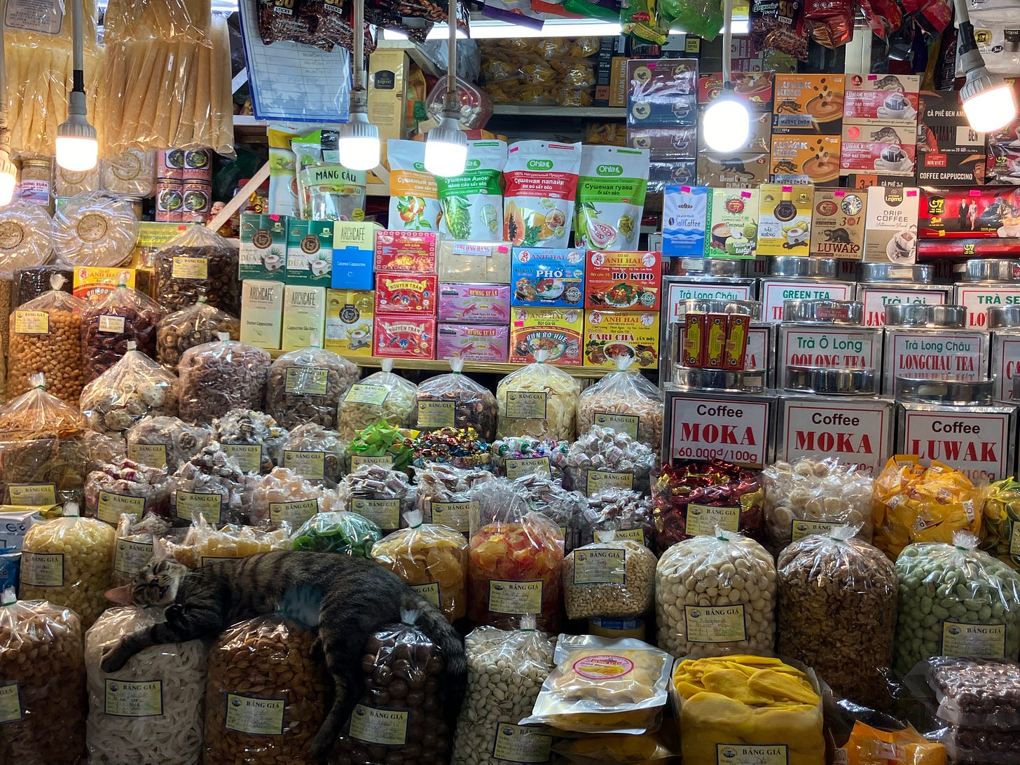 ベトナム・ホーチミンの市場。多くの食品が並ぶ写真。袋に入った食品の上でネコが寝ている。