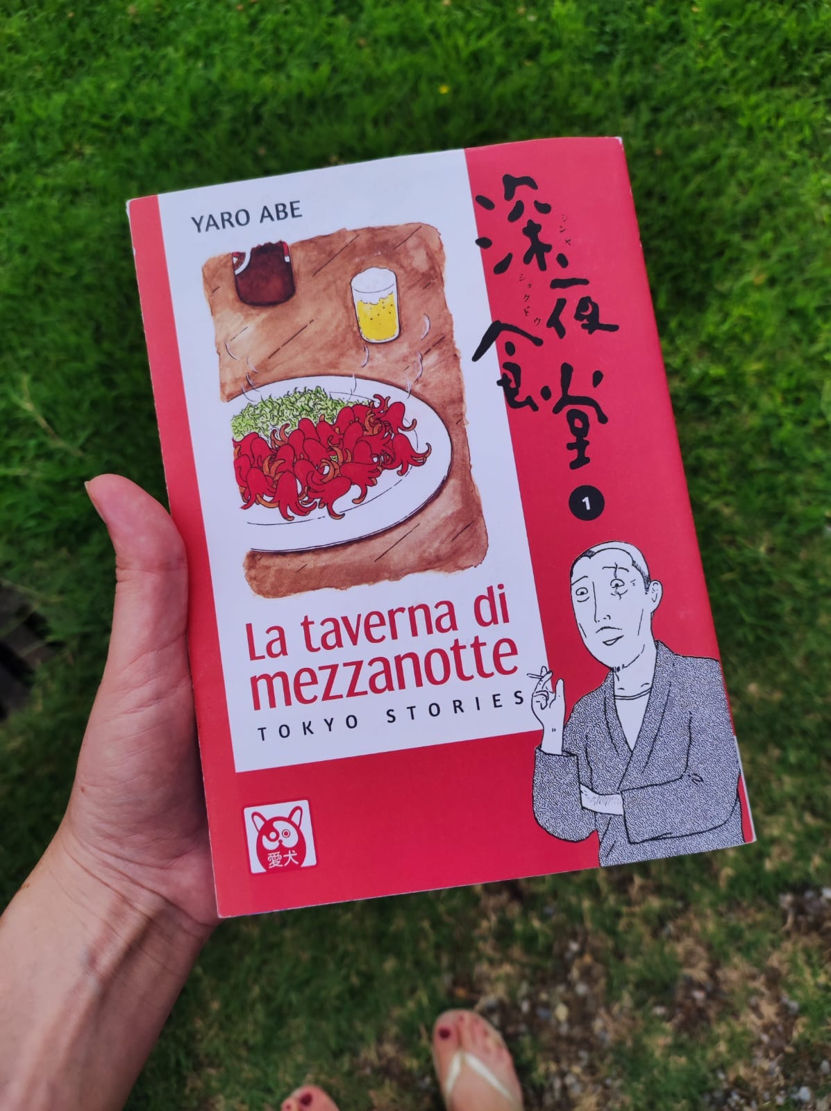 Una mano tiene un libro con una copertina rossa e sullo sfondo un prato verde