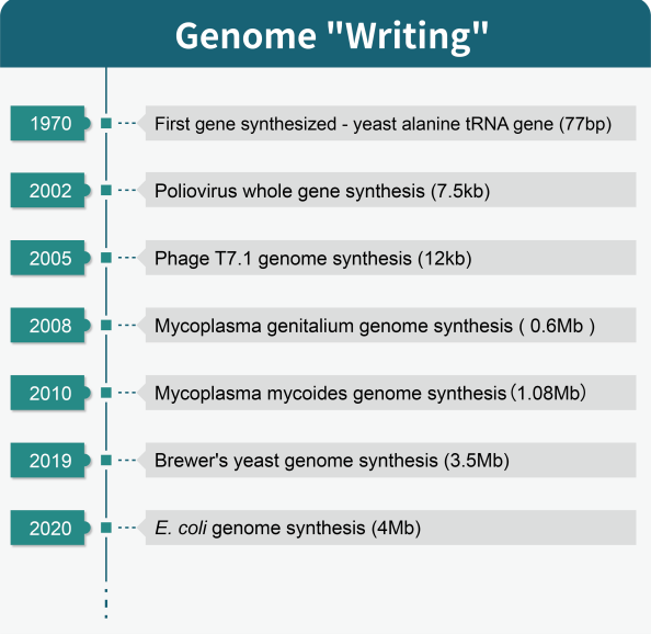Genome editing timeline