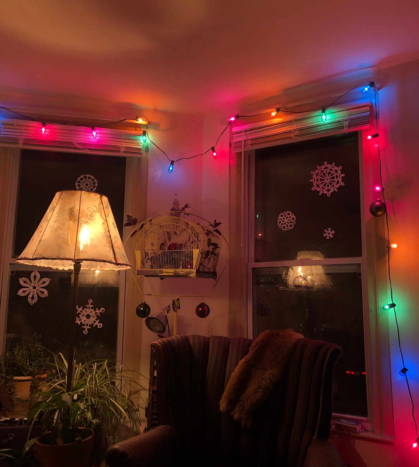 Two windows with a string of colored lights hung around them
