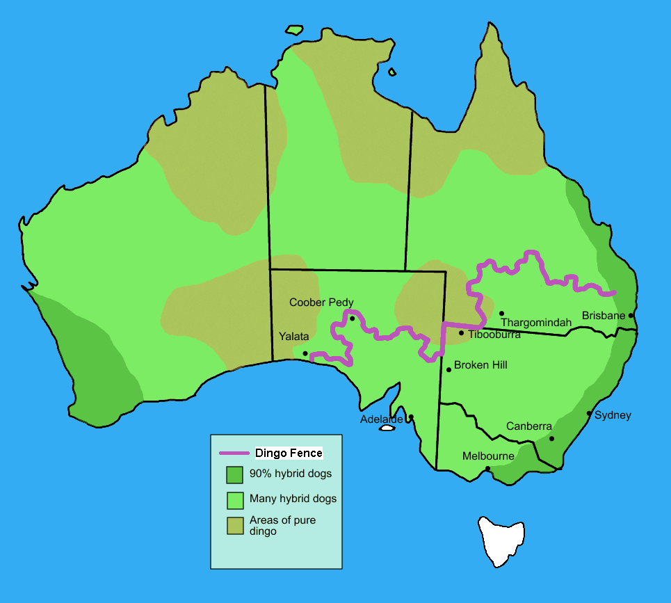 Map of Australia showing the fence route