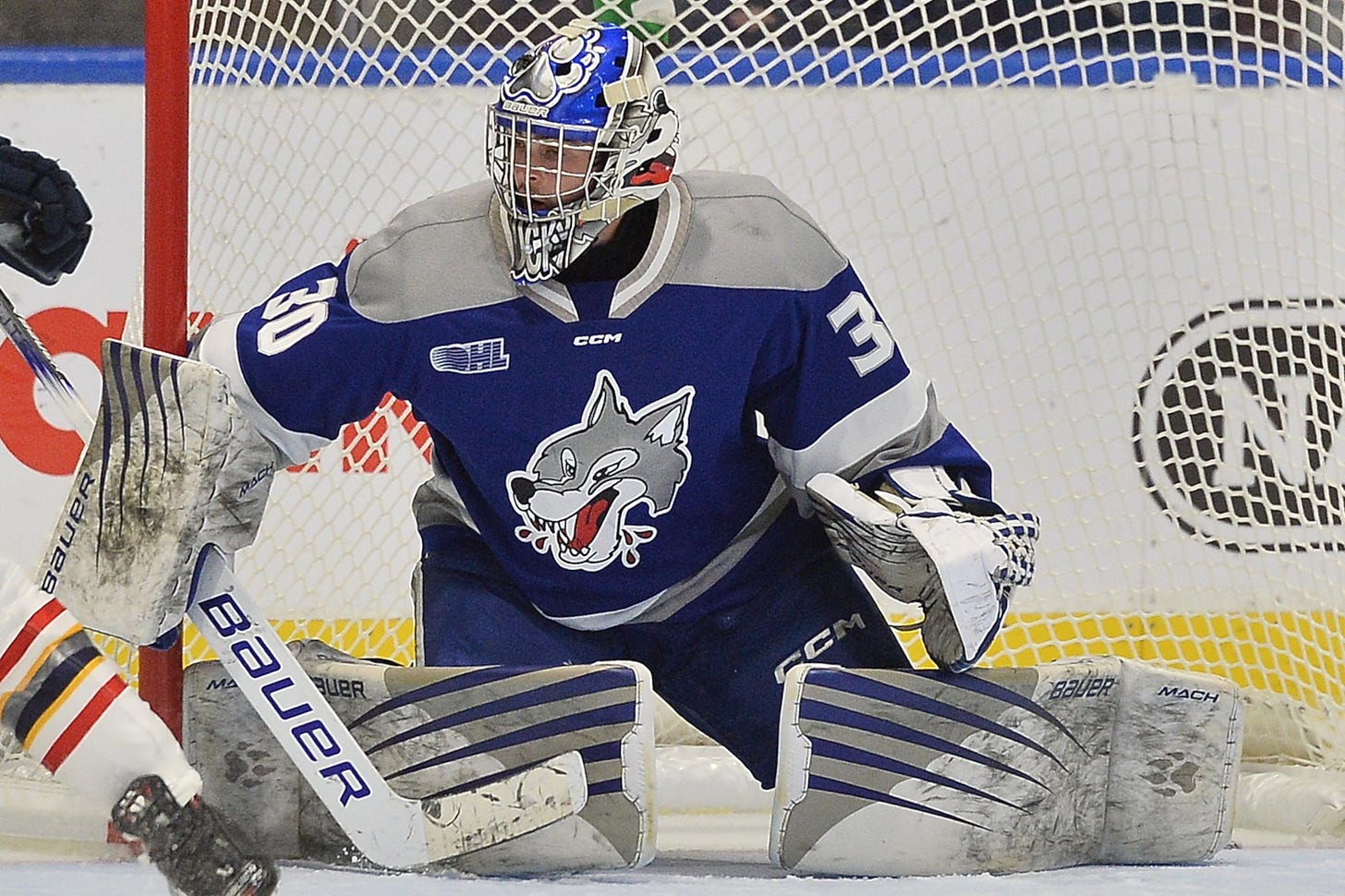 Wolves get hard-earned point in overtime loss to IceDogs - Sudbury News