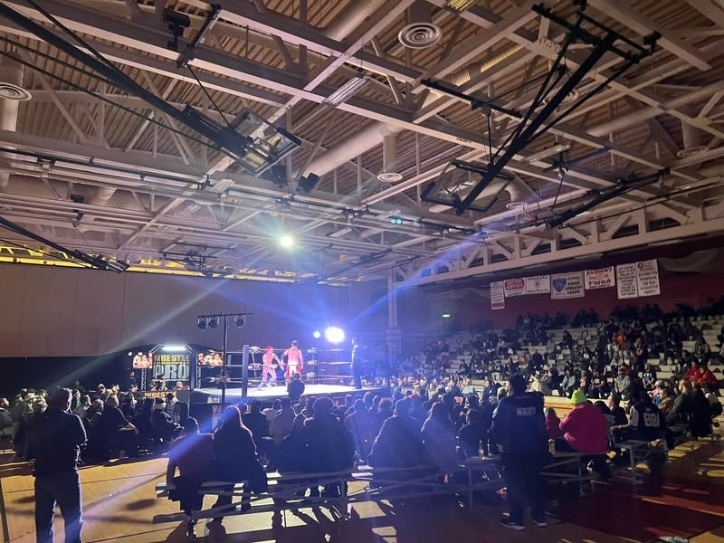 WrestlePro