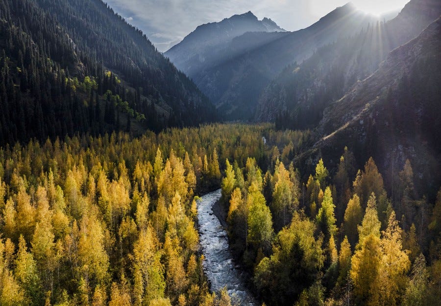 An aerial view of a mountain valley with yellow trees