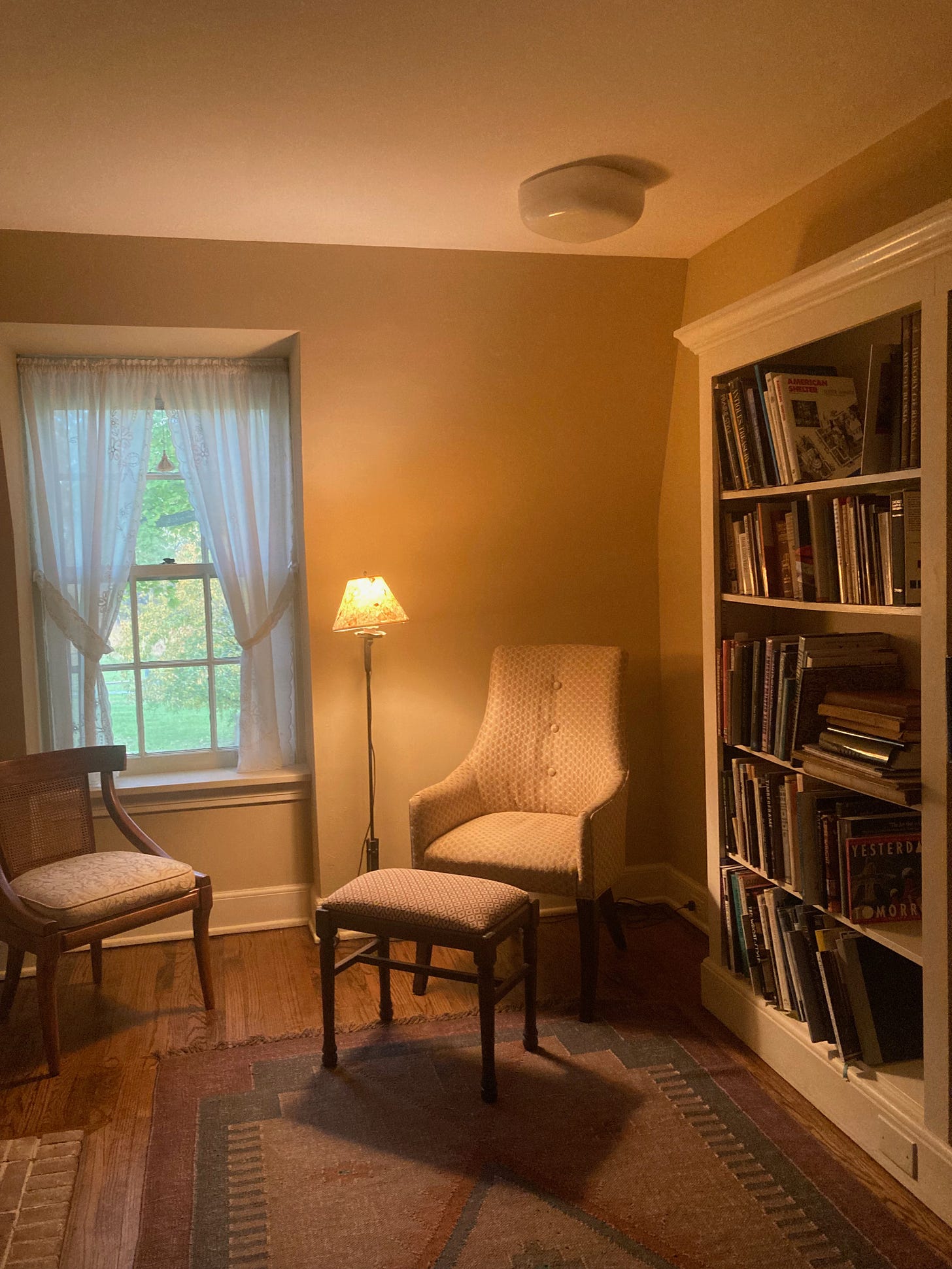 Two chairs next to a big bookshelf - a small cozy library