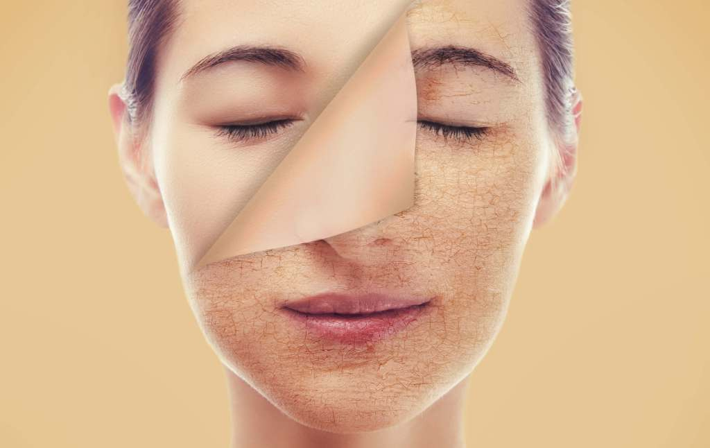 Exfoliator for Dry Skin. Choose the Best One