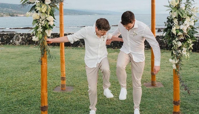 OpenAI CEO Sam Altman marries Oliver Mulherin at his $43 million Hawaii  estate
