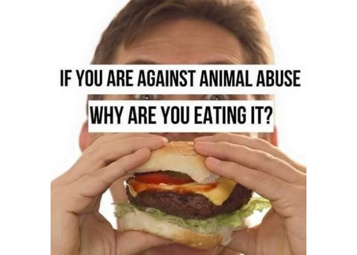 When someone claims to be against animal abuse, yet eats meat, they are directly supporting an industry built on animal suffering. It's a call to align actions with values. Ethical consistency matters. 🌱