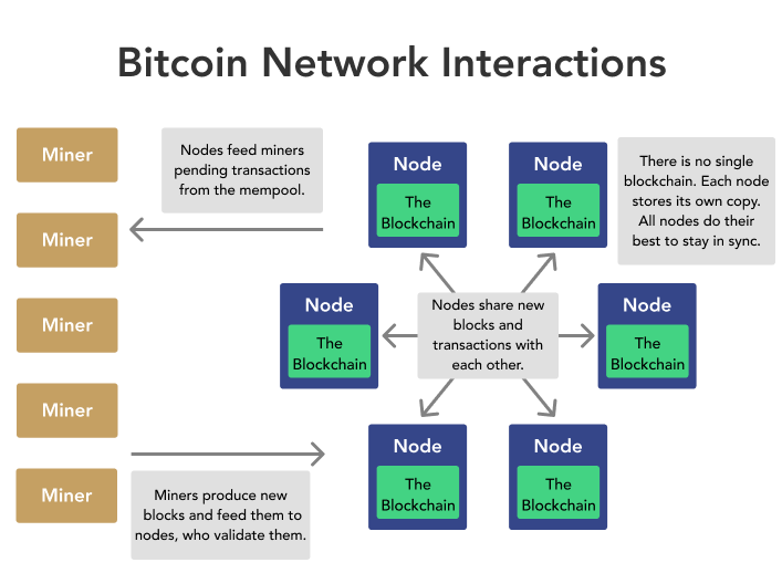 What Is a Bitcoin Node? | River