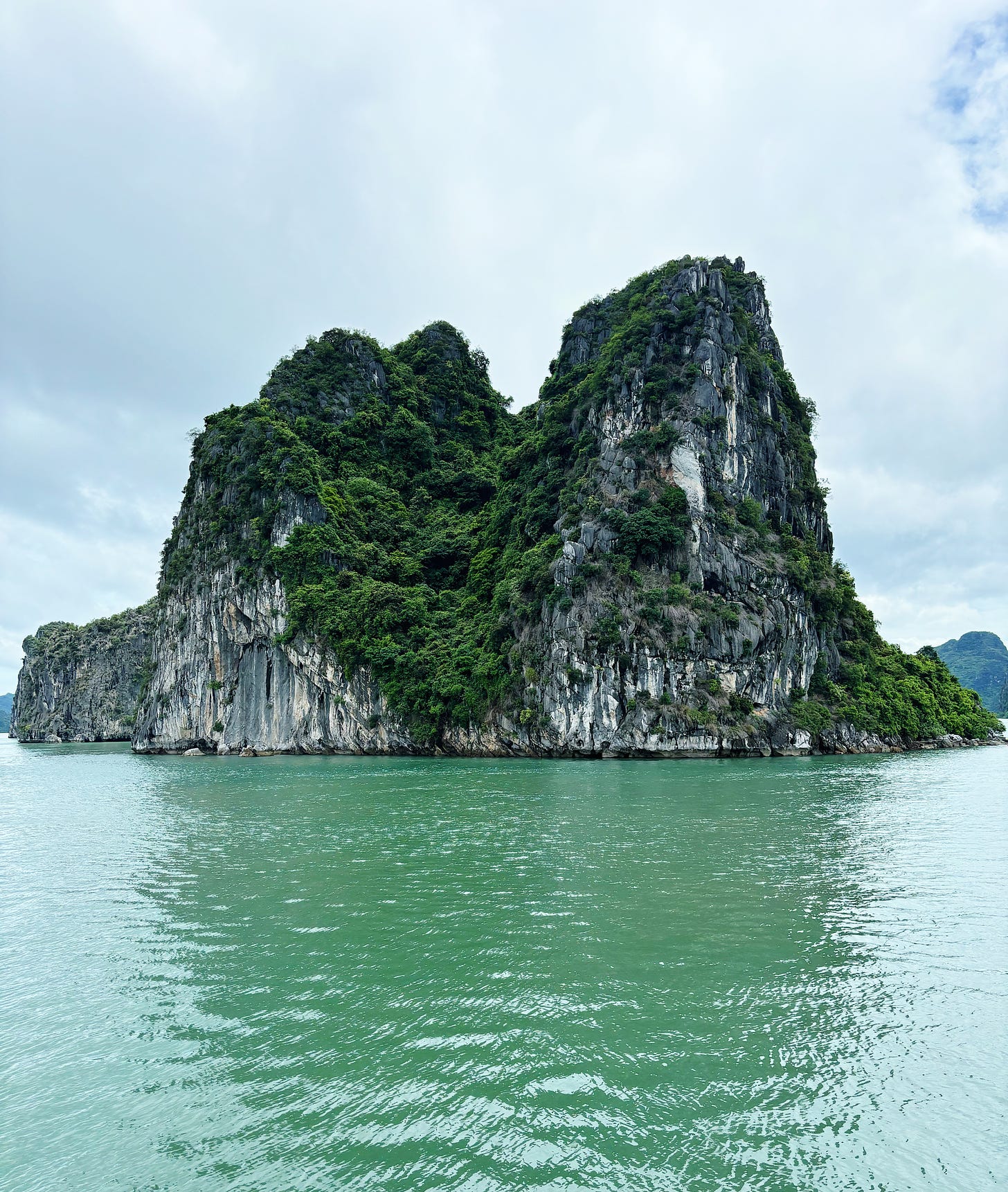 An island at Ha Long Bay Vietnam