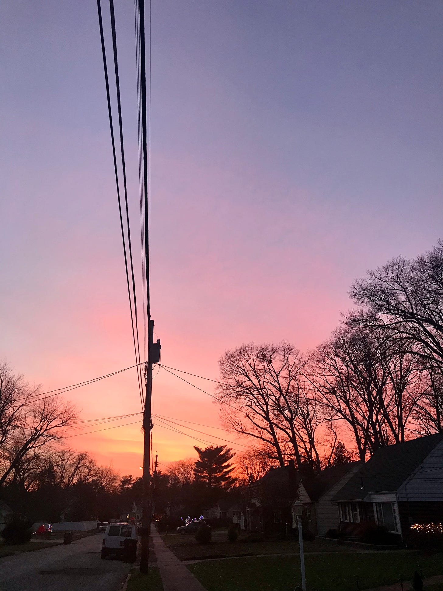 Profile orientation of black leafless trees and black phone wire against a gold and purple sunset, or sunrise.