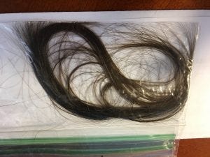 a hair sample of brown hair in a plastic baggie