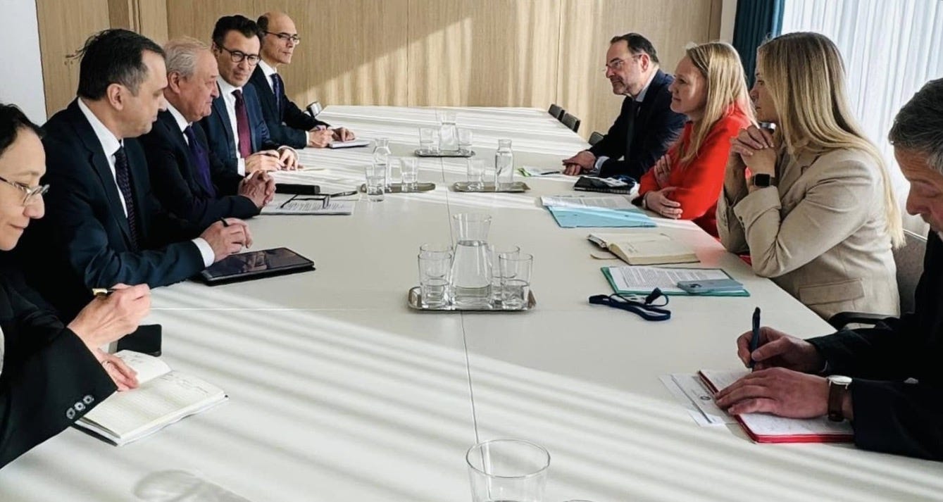Uzbekistan and the EU discussed prospects for cooperation - TurkicWorld
