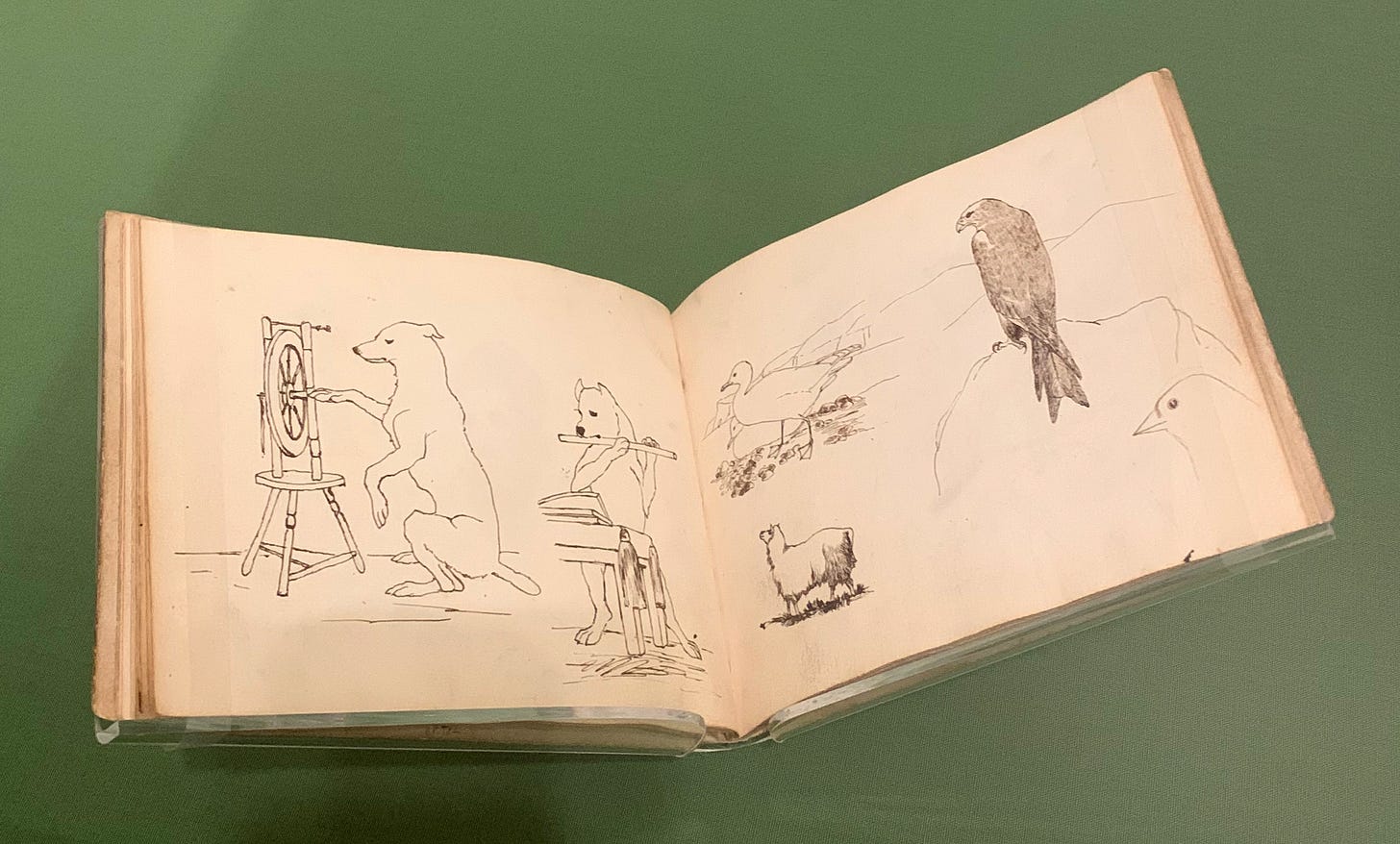 Beatrix Potter's father's sketchbook