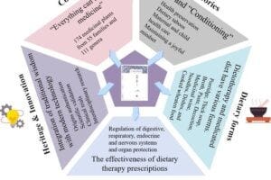 The five key elements that bring Yinshan Zhengyao together to explore the effects food can have on all facets of life