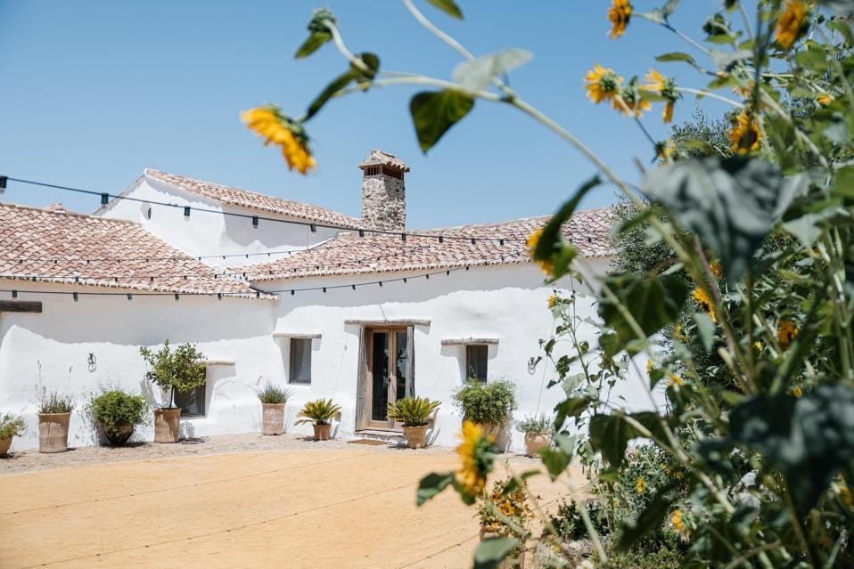 Yellow daises are in the foreground of a photo of a white house hotel in Andalusia, Spain
