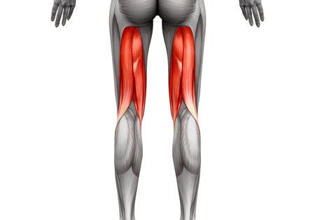 Hamstrings: Why You Should be Training Them More