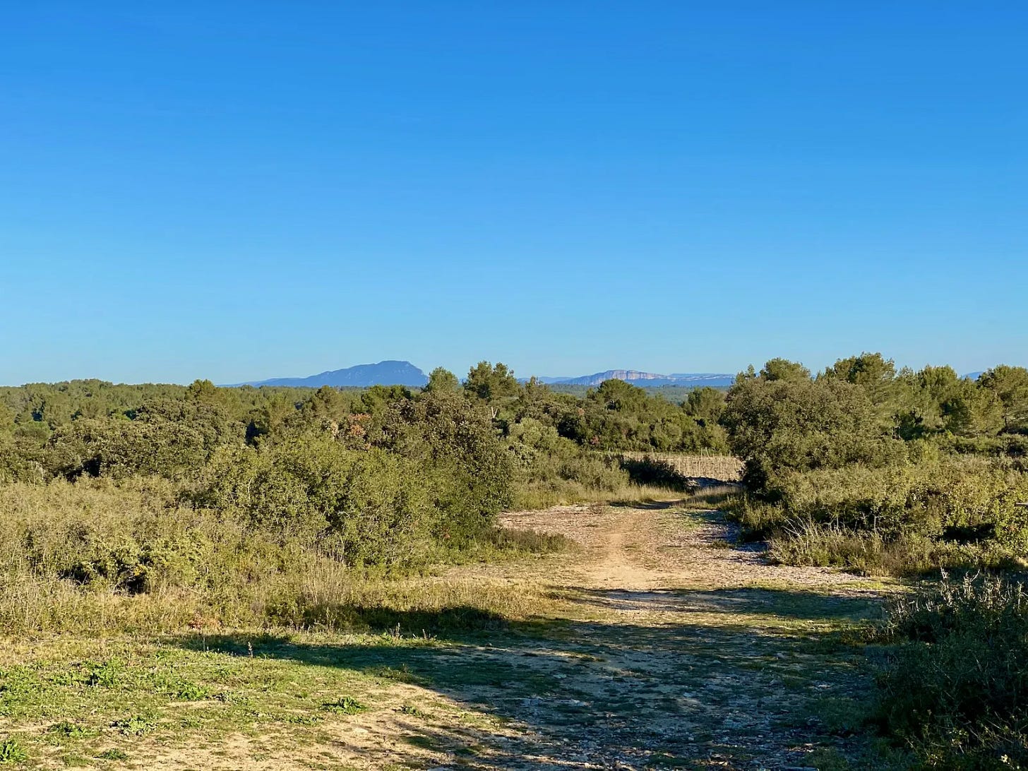 Les garrigues Les garrigues